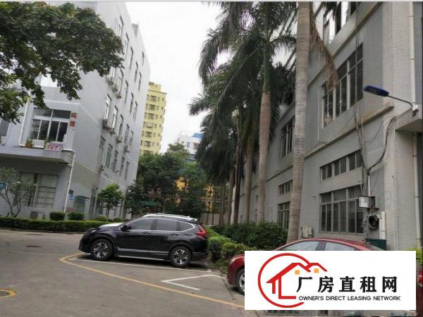 
		坪山坪环村新出楼上260平方精装修厂房出租
	