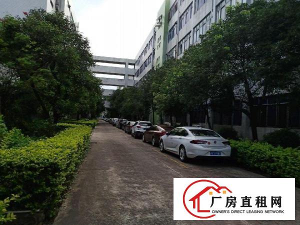 
		多彩厂区出租/高速路口
	