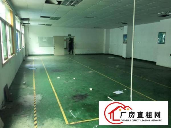 
		坪山一坑梓坪山大道旁新出经典小独院2400平出租
	