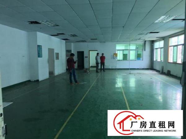 
		坪山一坑梓坪山大道旁新出经典小独院2400平出租
	