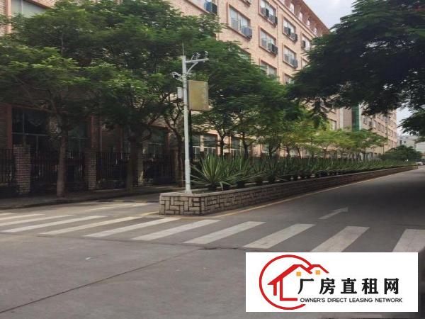 
		坑梓新出1500平厂房，高8米带牛角，可进拖头大车
	