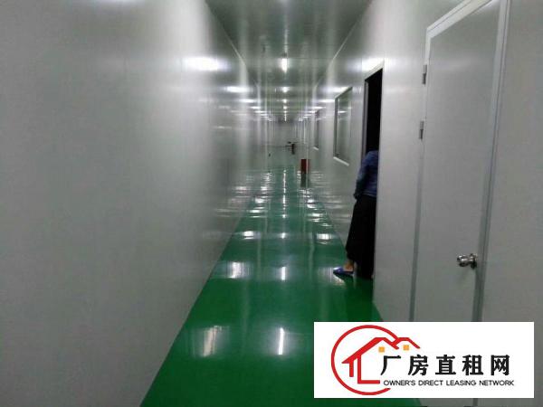 
		坪山区坑梓秀新社区带装修厂房三楼900平米
	