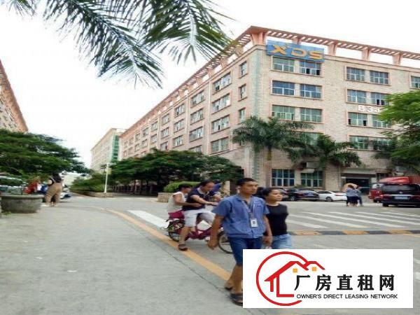 
		坪山区坑梓龙田社区6米高带牛角厂房2700平米
	