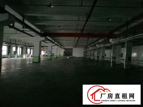 
		坪山区坑梓龙田社区6米高带牛角厂房2700平米
	