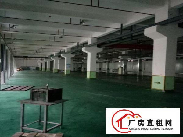 
		坪山区坑梓龙田社区6米高带牛角厂房2700平米
	