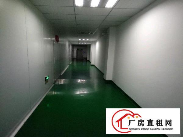 
		坪山区坑梓秀新社区带装修厂房三楼930平米
	