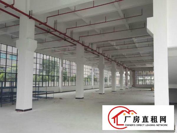 
		坪山坑梓新出1460方1.2楼厂房出租，全新厂房！
	