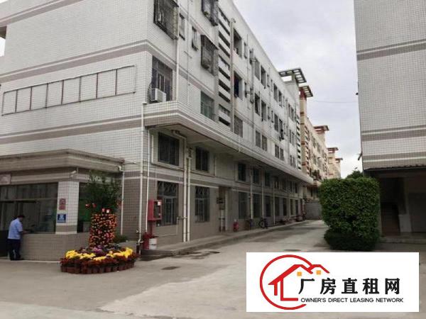 
		坪山坑梓新出原房东带红本有装修厂房530平出租
	