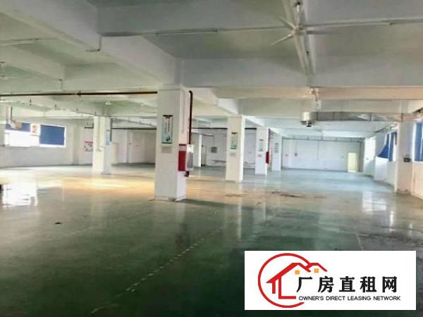 
		坪山坑梓莹展大型红本花园工业园厂房楼上整层2280平，
	