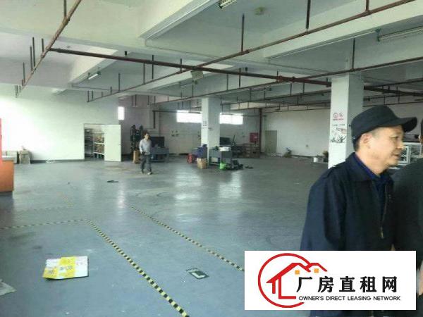 
		坑梓秀新新空出1楼2楼共5500平米带装修厂房出租（可分租）
	