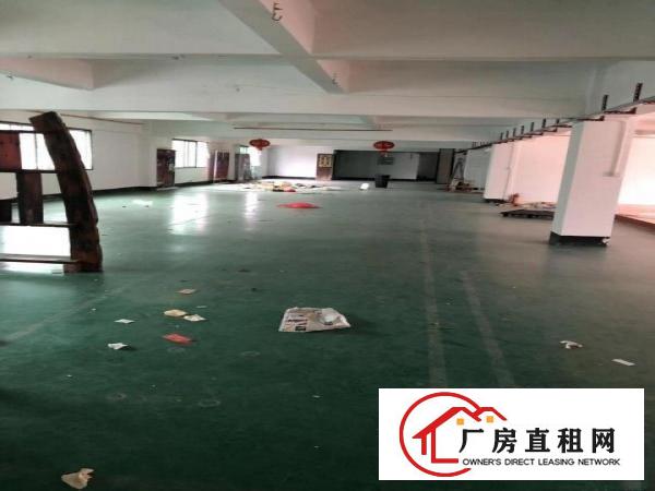 
		坪山坑梓金沙独院2350平厂房出租已翻新
	