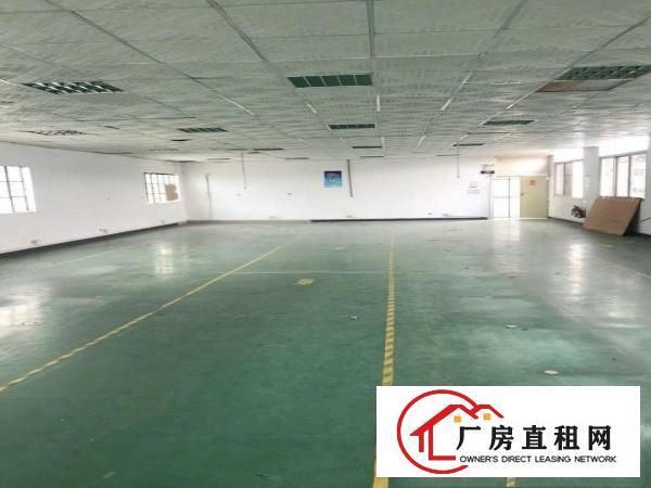 
		坪山坑梓金沙独院2350平厂房出租已翻新
	
