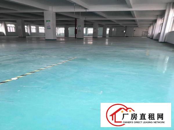 
		坑梓金沙新出原房东独院厂房4500平出租实际面积
	