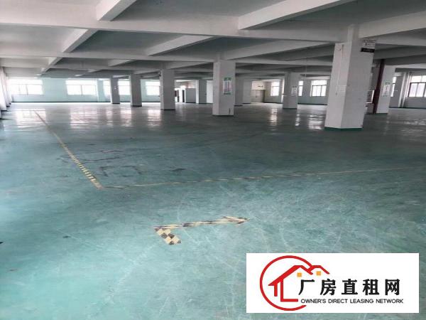 
		坑梓金沙新出原房东独院厂房4500平出租实际面积
	