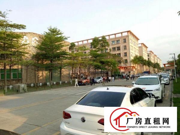 
		坪山新区坑梓莹展科技园一楼厂房2300平原房东直租
	