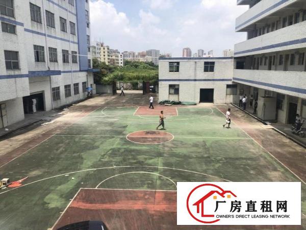 
		坑梓沙田地铁站新出独院11000平方空地大形象好
	