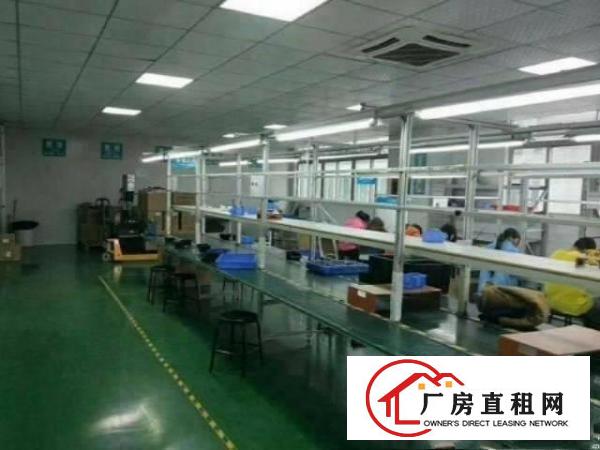 
		坑梓龙田工业区独院分租楼上精装修厂房550平
	