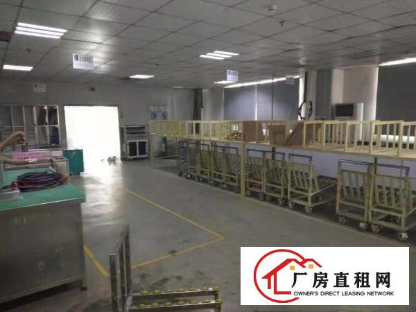 
		出租坪山一楼标准厂装修房带1000平实际面积出租
	