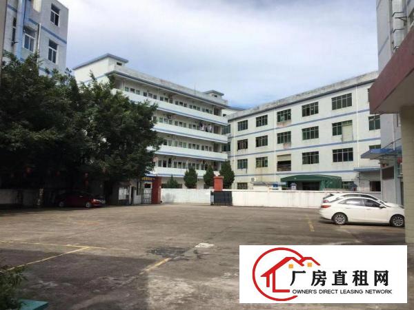 
		坑梓秀新新出3楼800平米原房东厂房出租，送装修
	