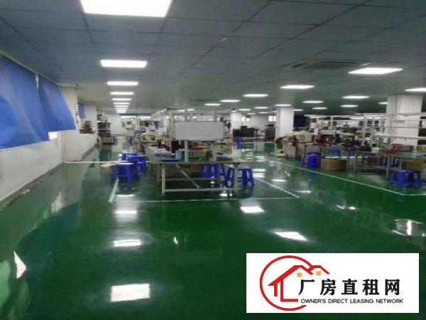 
		坑梓工业园新出楼上1240平三吨电梯形象好
	