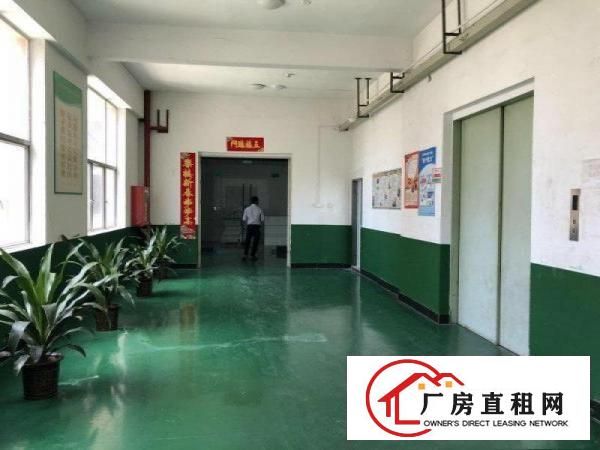 
		坑梓莹展新出楼上带精装修厂房1200平方招租，价格含税！
	