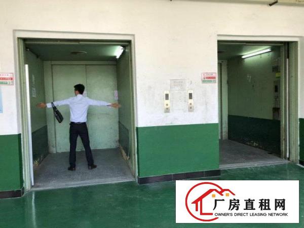 
		坑梓莹展新出楼上带精装修厂房1200平方招租，价格含税！
	