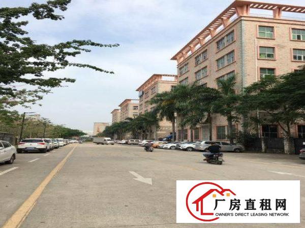 
		坑梓莹展新出楼上带精装修厂房1200平方招租，价格含税！
	