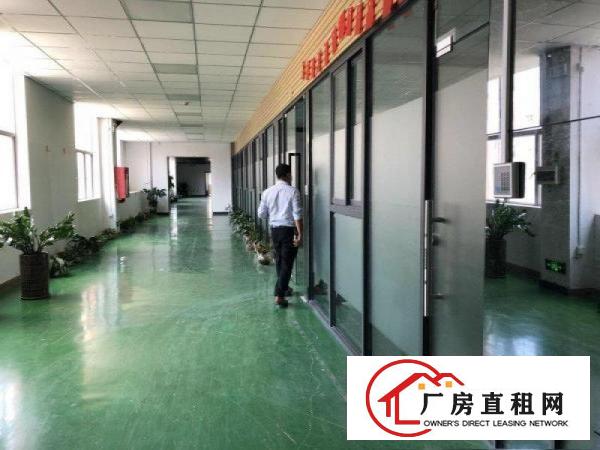 
		坑梓莹展新出楼上带精装修厂房1200平方招租，价格含税！
	