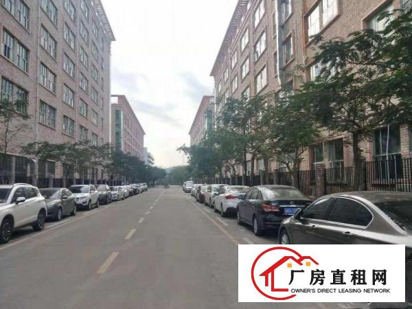 
		一手房东坪山工业园红本厂房一楼带牛角1900平米高度6.5
	