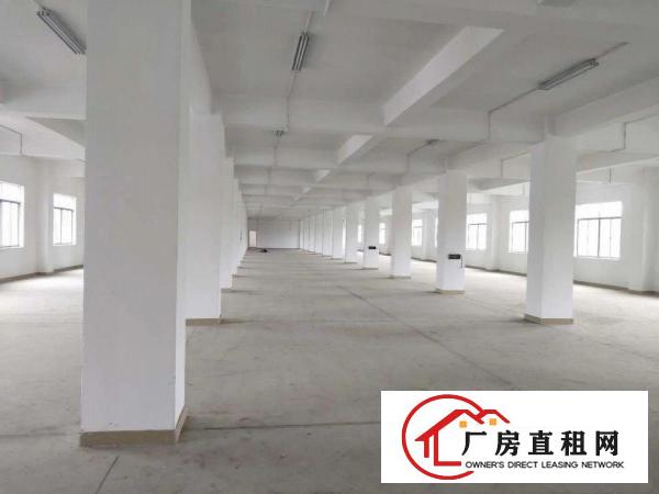 
		坪山新出幼儿园学校教育农家乐物流独院8300平地理位置绝佳
	