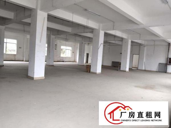 
		坪山新出幼儿园学校教育农家乐物流独院8300平地理位置绝佳
	