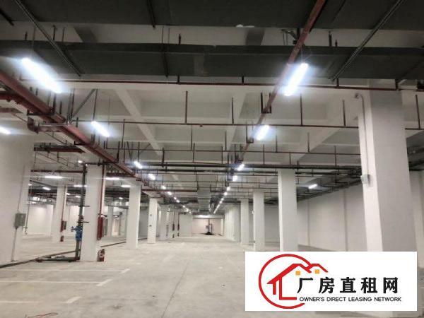 
		坪山坑梓全新红本厂房实际面积大小分租可申请补贴
	