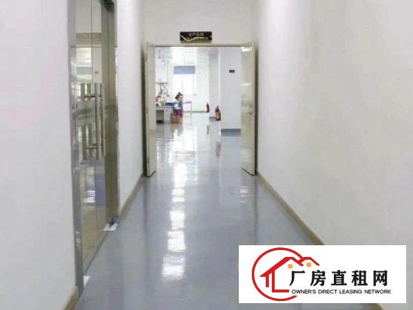 
		豪华装修！现成办公室！坪山坑梓秀新社区楼上新空出500平厂房
	