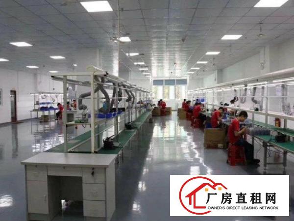 
		豪华装修！现成办公室！坪山坑梓秀新社区楼上新空出500平厂房
	