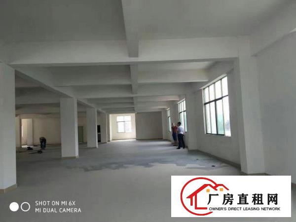 
		精装修！坑梓金沙附近新出楼上620平原房东厂房无转让费
	