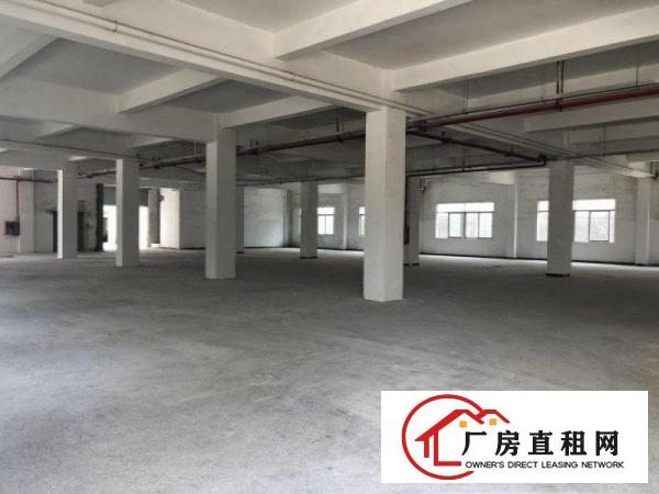 
		坑梓龙田新出原房东花园式厂房分租，单层1800平方，合同9年
	