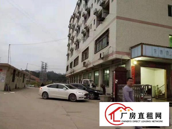 
		家具厂房秋长独院厂房4层16000㎡出租可分租
	