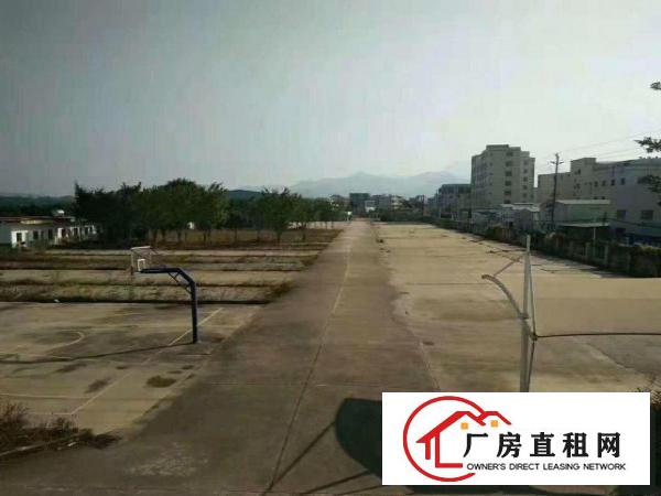 
		惠阳新圩村委厂房出租。
	