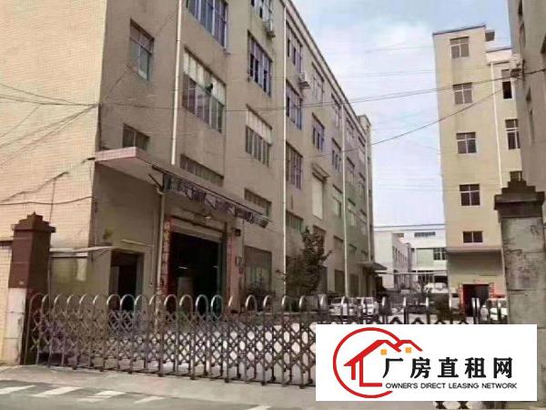 
		惠阳新墟附近新出一楼810平方招租整租带装修消防喷淋
	