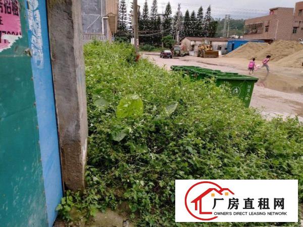 
		15元/平业主独院厂房招租800平米
	