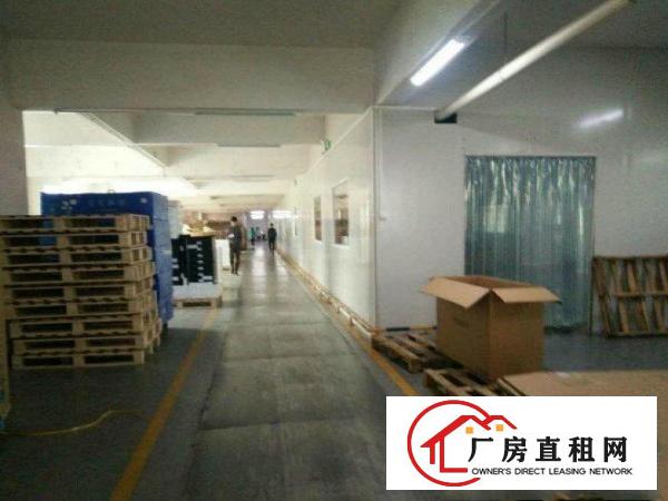 
		惠阳新墟原房东楼上无公摊带装修3200平出租800平起分租
	
