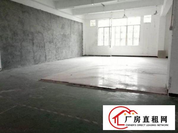 
		惠阳新墟新出一楼800平方标准厂房招租整租
	