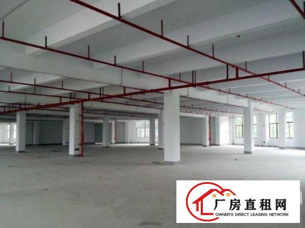 
		惠阳新墟原房东一楼3000平厂房出租特价可分租
	