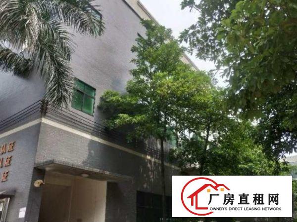 
		惠阳新墟交通方便周边商圈一楼500平方
	