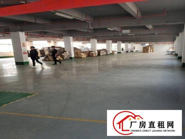 
		惠阳新墟一楼1450平方标准厂房出租现成装修
	