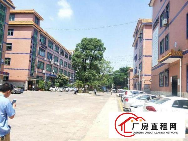 
		惠阳新墟全新967平方出租
	