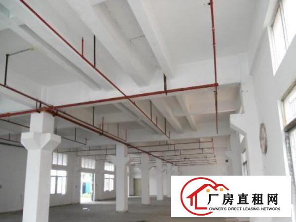 
		惠阳新墟独门独院花园别墅式标准1000平方厂房出租
	