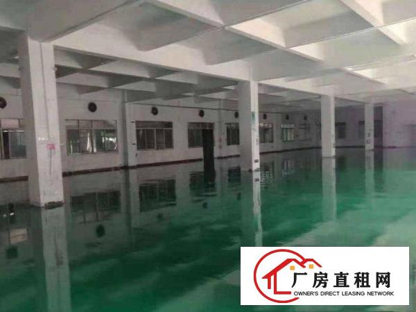 
		惠阳新墟小金原房东两层800平米楼房出租，租金便宜
	
