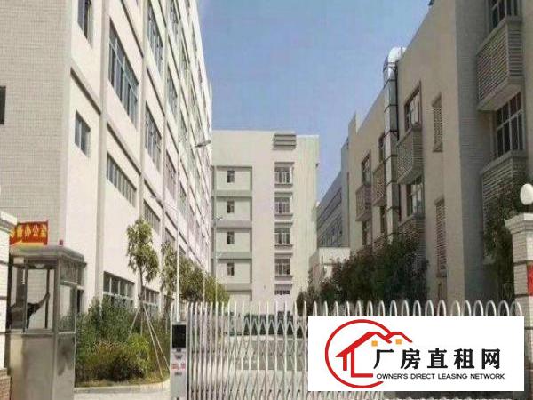 
		新墟进场可生产！现成装修厂房1600平米出租
	