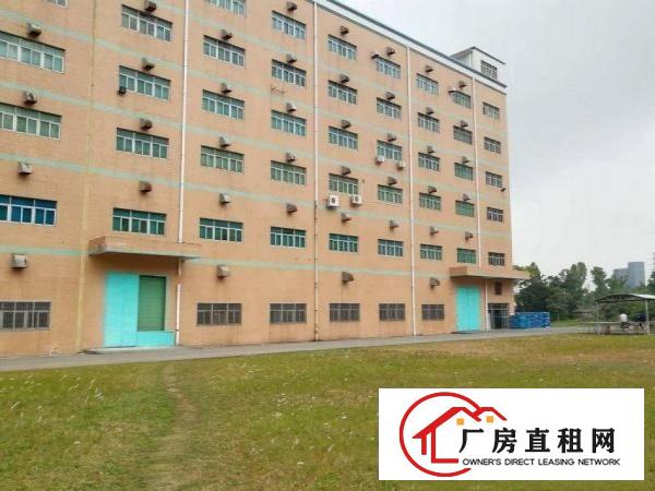 
		惠阳新墟工业区厂房一楼1000平楼上500平带牛角
	